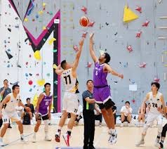 【日职】中岛卓也拒FA留火腿：「明年要跟伙伴一起夺冠」｜日本职棒